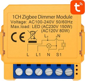 Smart socket switch ZigBee Avatto ZDMS16-1 TUYA