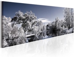 Πίνακας - Wintry Lake 120x40