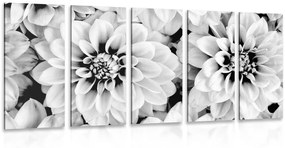 Εικόνα 5 τμημάτων λουλούδια ντάλια σε ασπρόμαυρο