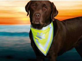 Μπαντάνα Trixie