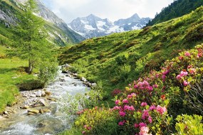 Αφίσα Alps - Nature and Mountains, (91.5 x 61 cm)