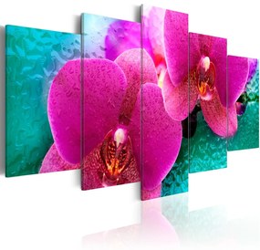 Πίνακας - Exotic orchids 200x100