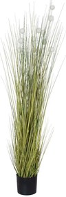 Τεχνητό Φυτό Eriophorum Angustifolium Cotton Grass 20073 Φ60x150cm Multi GloboStar PVC