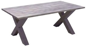 Τραπέζι Κήπου Alley Ε6842,2 220x94x72cm Alu Grey