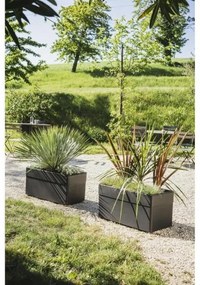 Βάζο Λουλουδιών EDA