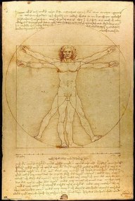 Αφίσα Leonardo Da Vinci - Vitruvian Man, (61 x 91.5 cm)