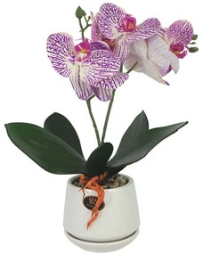 Τεχνητή Ορχιδέα Σε Κασπώ 00-00-23333-2 10x36cm Multi-Purple Marhome Κεραμικό,Πλαστικό