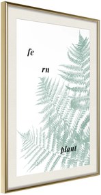 Αφίσα - Pale Green Fern - 40x60 - Χρυσό - Με πασπαρτού