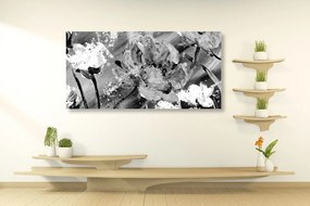 Ζωγραφική με λουλούδια σε μαύρο & άσπρο