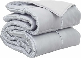 vidaXL Κουβέρτα ολόκληρου του χρόνου Ασημί 200 x 240 cm