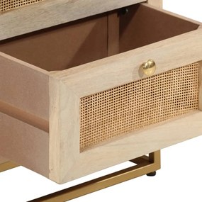 vidaXL Κομοδίνο 40 x 30 x 50 εκ. από Μασίφ Ξύλο Μάνγκο και Σίδηρο