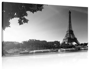 Εικόνα του φθινοπωρινού Παρισιού σε ασπρόμαυρο - 60x40