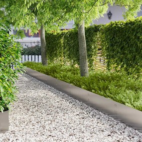 vidaXL Περίγραμμα γκαζόν 20 τμχ. 100 x 30 cm Ανοξείδωτο Ατσάλι Ασημί