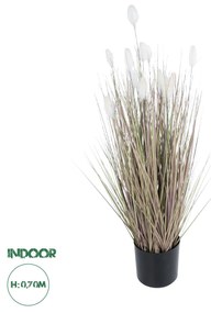 GloboStar® Artificial Garden BEIGE LAGURU 21100 Διακοσμητικό Φυτό Μπεζ Λαγοουρά Υ70cm