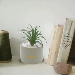 Τεχνητό Φυτό σε Κεραμικό Γλαστράκι "Nice" 11x17cm - Μέντα