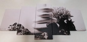 Εικόνα 5 μερών Πέτρες Ζεν με κοχύλια σε μαύρο & άσπρο - 200x100