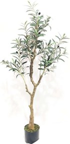 Τεχνητό Δέντρο Ελιά Costaoliva 6990-6 120cm Green Supergreens Πολυαιθυλένιο,Ύφασμα