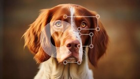 Σετ των 2 Intra Συλλεκτικό Ξύλινο Παζλ Plywood 4mm - Καφέ και λευκό σκυλί με σοβαρή έκφραση Σε Ξύλινο Κουτί - Διαστάσεις: 10x10 cm – 25 κομμάτια