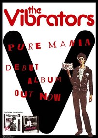 Αφίσα Vibrators - Pure Mania