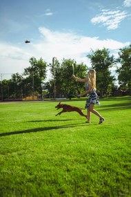 Παιχνίδια για Σκύλους Hunter