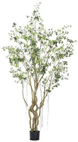 Τεχνητό Δέντρο Φίκος Microcarpa 7770-6 300cm Green Supergreens Polyethylene,Fabric
