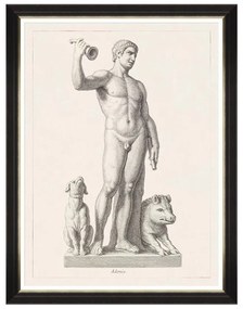 Κάδρο Greek Godess And Gods - Adonis FA13113 60X80 MindTheGap Κάθετοι Ξύλο