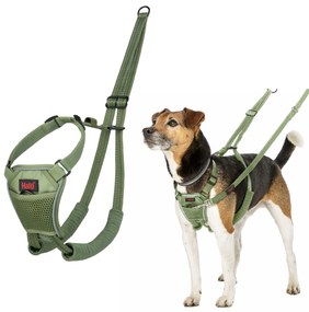 Λουρί Σκύλου Company of Animals FOREST Πράσινο 20