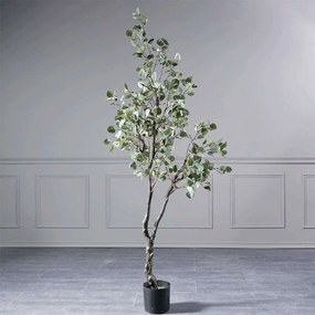 Τεχνητό Δέντρο Παχίρα 8340-6 90x210cm Green Supergreens Ξύλο,Ύφασμα