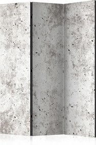 Διαχωριστικό με 3 τμήματα - Urban Style: Concrete [Room Dividers]