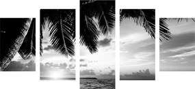 Εικόνα 5 μερών ανατολής σε παραλία της Καραϊβικής σε ασπρόμαυρο - 100x50