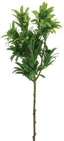 MarHome ΚΛΑΔΙ ΠΡΑΣΙΝΟ ΦΥΛΛΑΡΑΚΙ Y56cm 60/240KIB  00-20404
