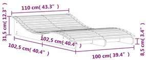 Ξαπλώστρα 205x110x31,5 εκ. από Μασίφ Ξύλο Ψευδοτσούγκας - Καφέ