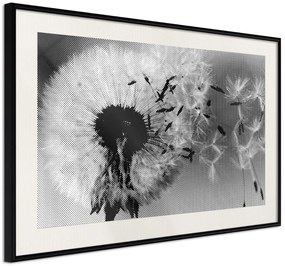 Αφίσα - Dandelion in the Wind - 30x20 - Μαύρο - Με πασπαρτού