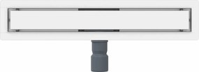 vidaXL 2 σε 1 εκροή ντους Ασημί 60 cm Ανοξείδωτο Ατσάλι 304