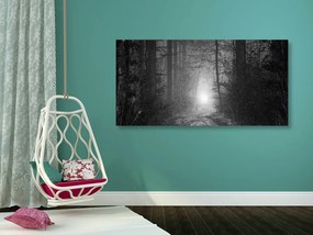Φως εικόνας στο δάσος σε ασπρόμαυρο - 100x50