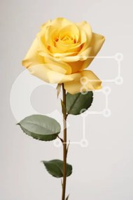 Intra Συλλεκτικό Ξύλινο Παζλ Plywood 4mm - Κομψό κίτρινο τριαντάφυλλο σε ουδέτερο φόντο Σε Ξύλινο Κουτί - Διαστάσεις Puzzle: 10x10 cm – 25 κομμάτια