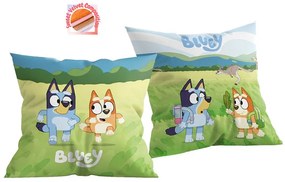 Διακοσμητικό Μαξιλάρι Βελουτέ 2 Όψεων (38x38) Dimcol Bluey 09