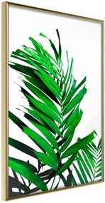 Αφίσα - Emerald Palm - 20x30 - Χρυσό - Χωρίς πασπαρτού