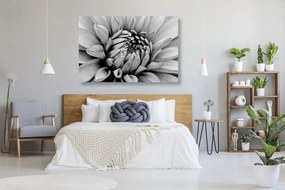 Εικόνα λεπτομερή ντάλια σε μαύρο & άσπρο - 120x80