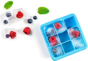 Δοχείο για Πάγο Ibili 688400