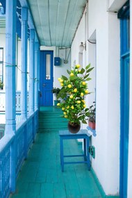 Stewehome Τεχνητό δέντρο λεμονιάς με πυκνά φύλλα σε ανθρακοειδή γλάστρα Γκρι