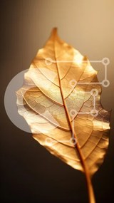 Σετ των 2 Intra Συλλεκτικό Ξύλινο Παζλ Plywood 4mm - Χρυσό φύλλο σε απαλό φως Σε Ξύλινο Κουτί - Διαστάσεις: 10x10 cm – 25 κομμάτια