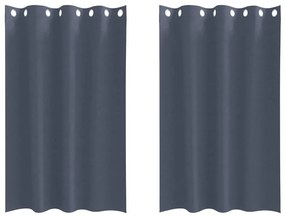 vidaXL Κουρτίνες με κουρτίνες 2 pcs Ανθρακί Πολυεστέρας