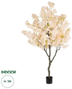20680 GloboStar® Artificial Garden SALMON CHERRY BLOSSOM TREE 20680 Τεχνητό Διακοσμητικό Δέντρο Απαλό Ροζ Άνθος Κερασιάς Υ200cm