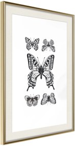 Αφίσα - Butterfly Collection IV - 20x30 - Χρυσό - Με πασπαρτού