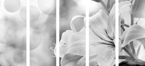 Εικόνα λουλουδιών κρίνων 5 τμημάτων σε αφηρημένο φόντο σε ασπρόμαυρο σχέδιο