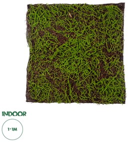 20143 GloboStar®  Artificial Garden BRYOPHYTA 20143 Τεχνητό Διακοσμητικό Πάνελ Φυλλωσιάς - Κάθετος Κήπος Βρύα Μ100 x Π100 x Υ5cm