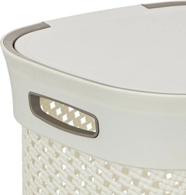 Καλάθι Απλύτων 60Lit (42x33x61) F-V Purl Lin 206738A