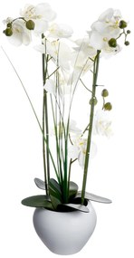 Τεχνητό Λουλούδι Σε Γλάστρα (Φ47x56) A-S White Orchid 136510B