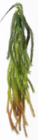 Supergreens Τεχνητή Κρεμαστή Φτέρη Κόκκινη 84 εκ